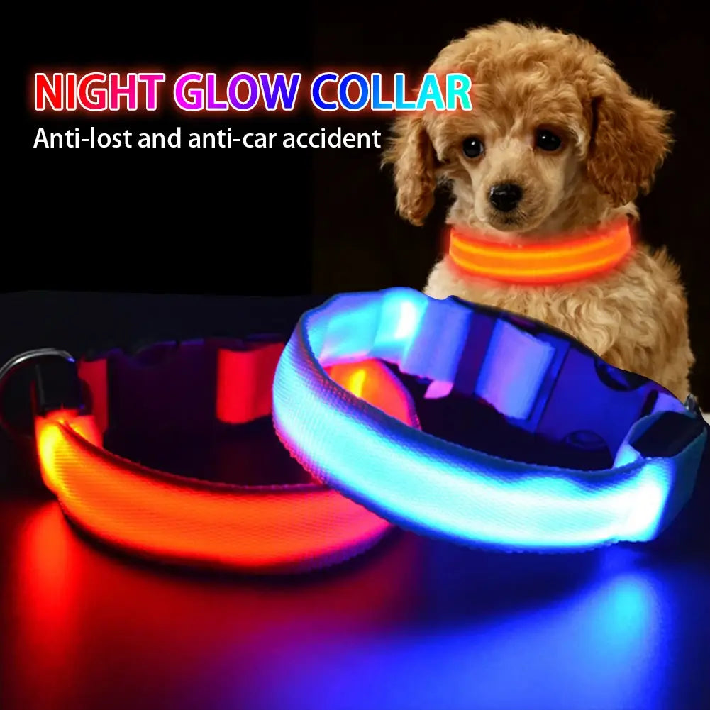 LED Dog Collar Glowing Up Anti-lost Pet Products Night Safety Collars with Batteries Pet Necklace Glow Collar for Small