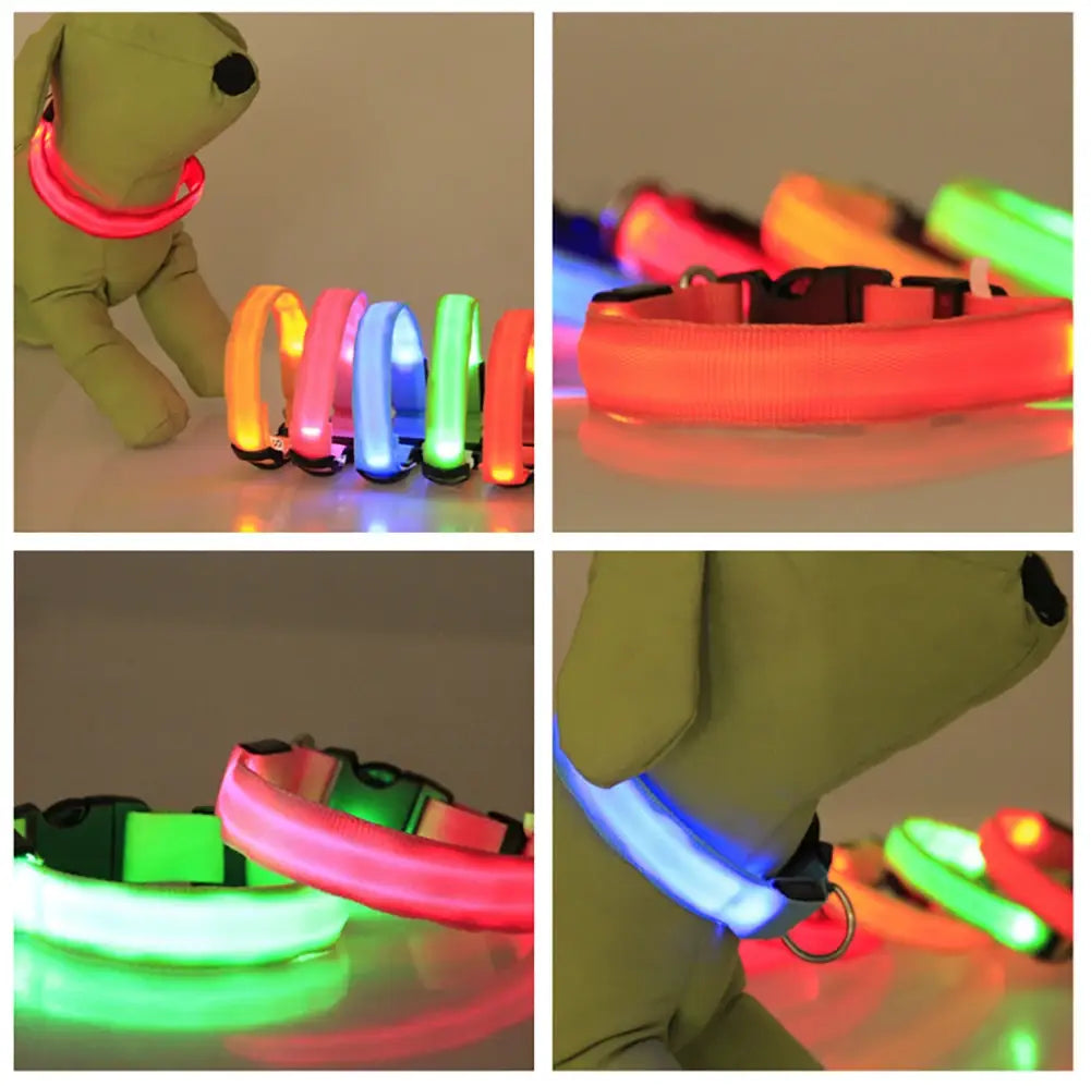 LED Dog Collar Glowing Up Anti-lost Pet Products Night Safety Collars with Batteries Pet Necklace Glow Collar for Small