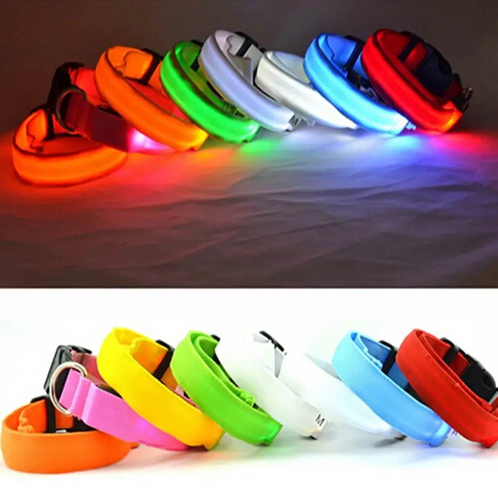 LED Dog Collar Glowing Up Anti-lost Pet Products Night Safety Collars with Batteries Pet Necklace Glow Collar for Small