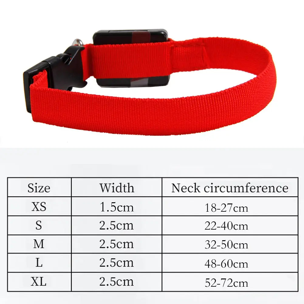 LED Dog Collar Glowing Up Anti-lost Pet Products Night Safety Collars with Batteries Pet Necklace Glow Collar for Small