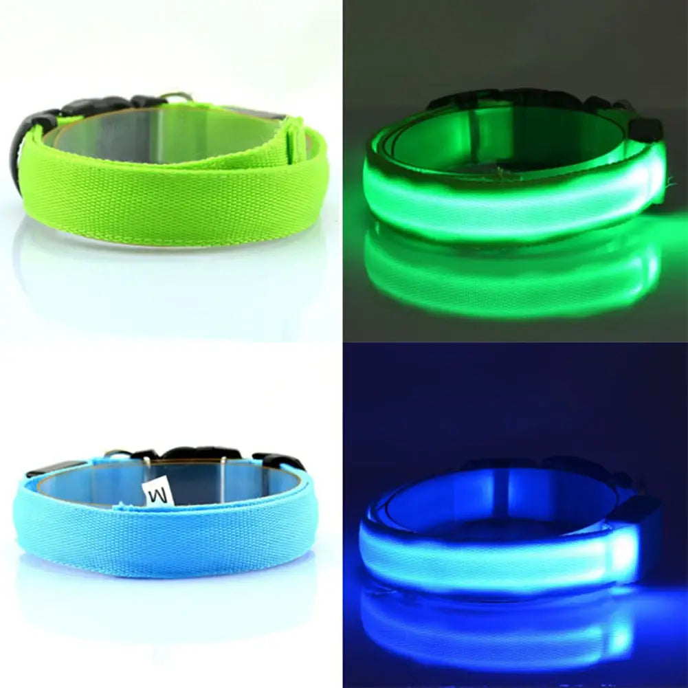 LED Dog Collar Glowing Up Anti-lost Pet Products Night Safety Collars with Batteries Pet Necklace Glow Collar for Small