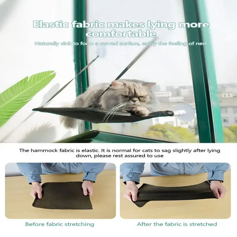 Cat Suction Cup Hanging Bed Cat Sofa Cat Bed Cat Basking In The Sun Cat Durable Seat Cat Window Hammock Pets