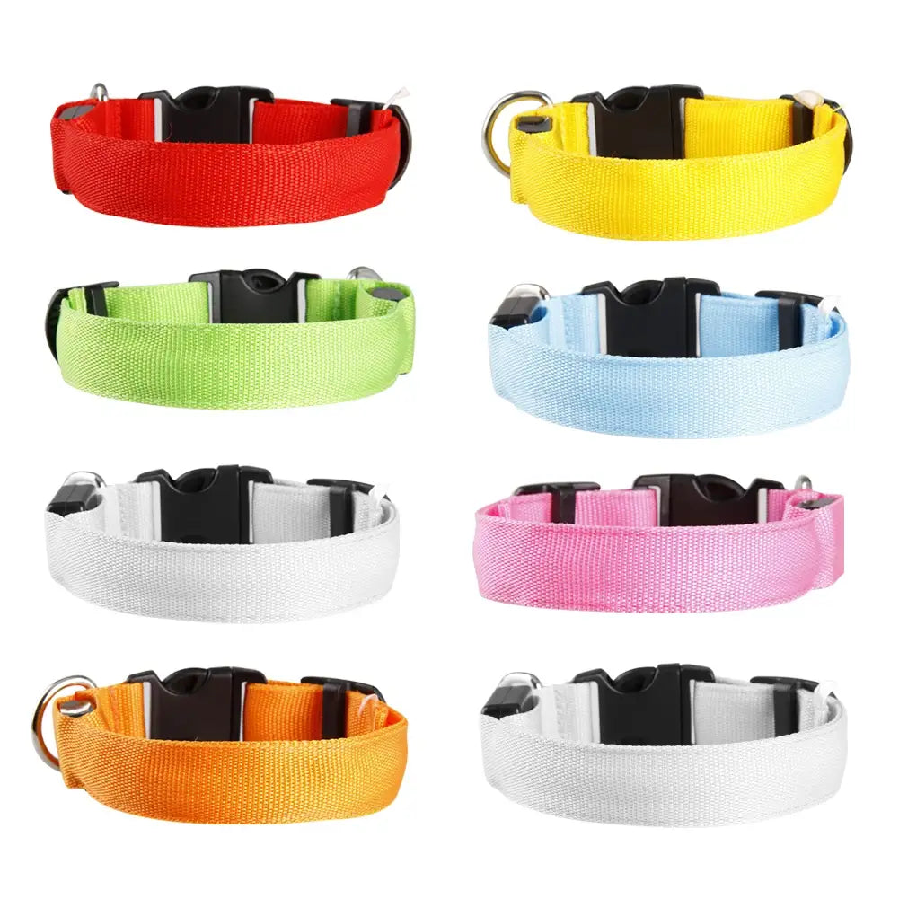 LED Dog Collar Glowing Up Anti-lost Pet Products Night Safety Collars with Batteries Pet Necklace Glow Collar for Small