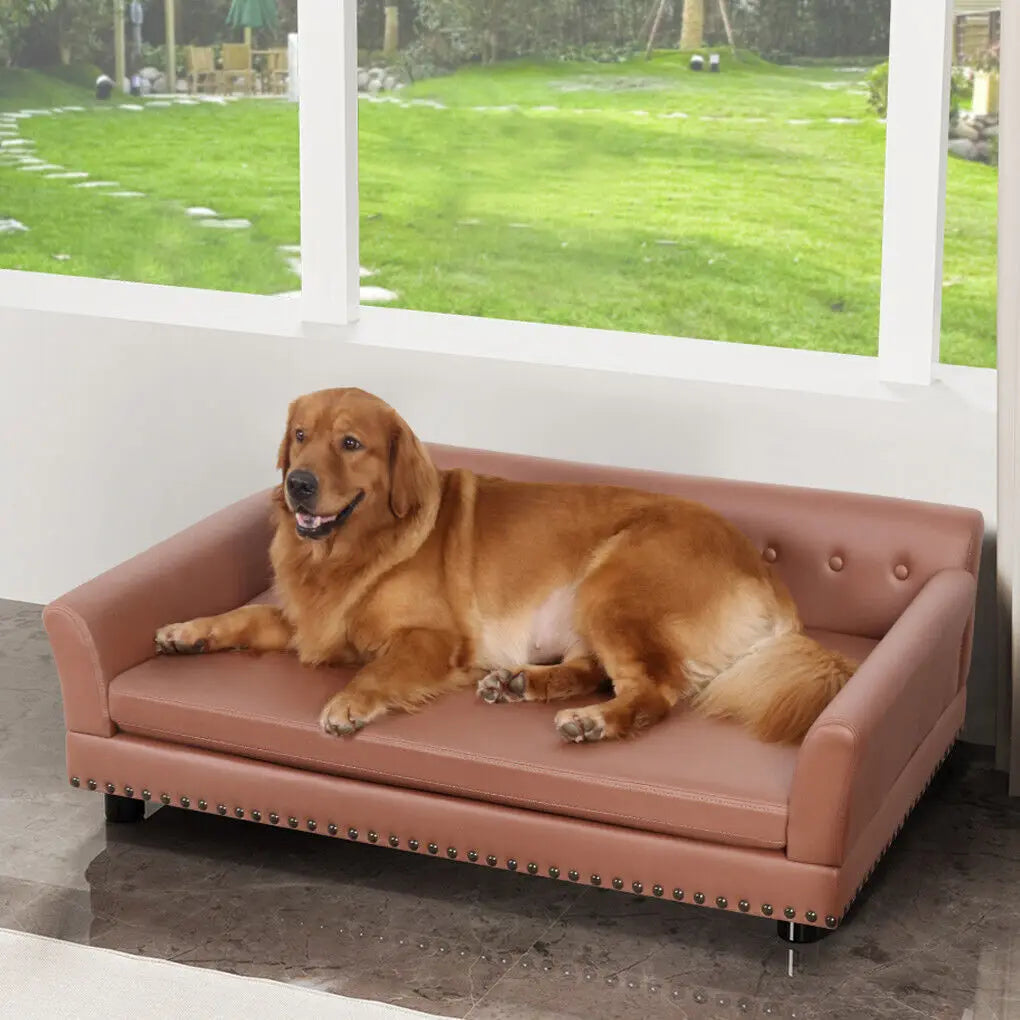 BingoPaw Orthopedic Sofa-Style Dog Bed